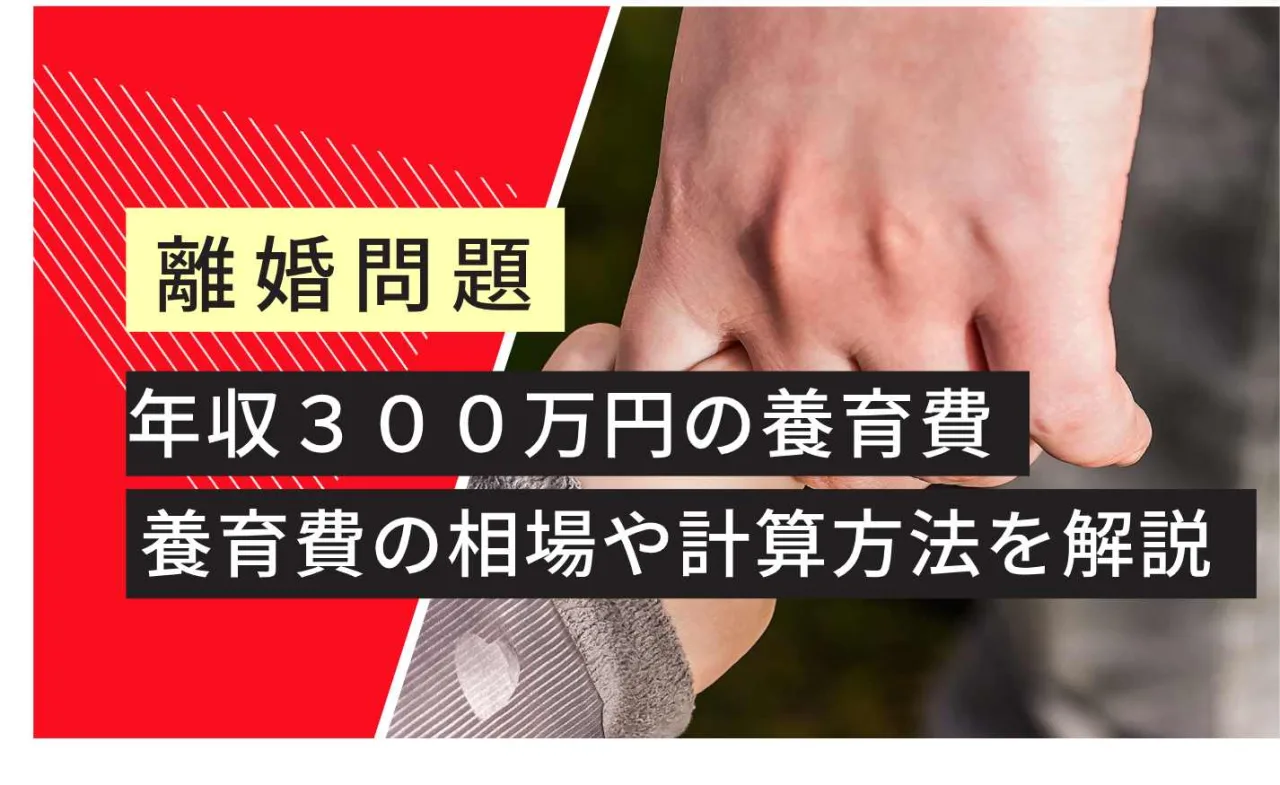 , , , , , , , 離婚問題, 年収３００万円の養育費, 養育費の相場や計算方法を解説