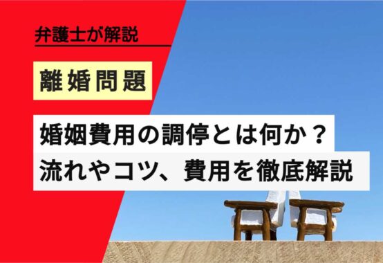 , , , , , 離婚問題, 婚姻費用の調停とは何か？, , 弁護士が解説, 流れやコツ、費用を徹底解説